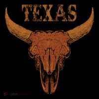 Texas TX Lone Star State Cooling Performance Long Sleeve Crew