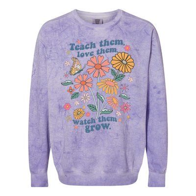 Teach Them Love Them Watch Them Grow Retro Teacher Floral Colorblast Crewneck Sweatshirt