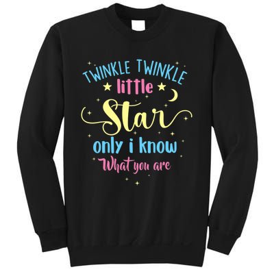 Twinkle Twinkle Little Star Gender Reveal Party Baby Shower Sweatshirt