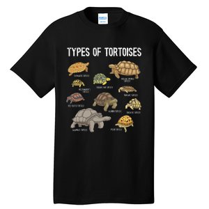 Tortoise Tortoise Lover Reptile Lover Tall T-Shirt