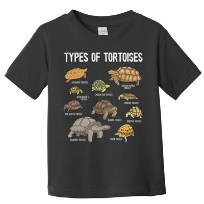 Tortoise Tortoise Lover Reptile Lover Toddler T-Shirt