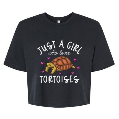 Tortoise Tortoise Lover Funny Tortoise Bella+Canvas Jersey Crop Tee