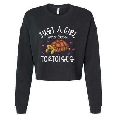 Tortoise Tortoise Lover Funny Tortoise Cropped Pullover Crew