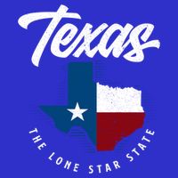 Texas The Lone Star State Gift Texas Map Cool Gift Button