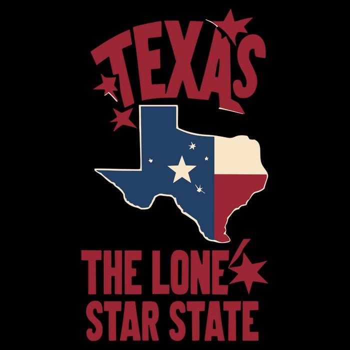 Texas The Lone Star State Gift Texas Map Cool Gift Backpack