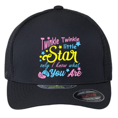 Twinkle Twinkle Little Star Only I Know What You Are Gender Flexfit Unipanel Trucker Cap