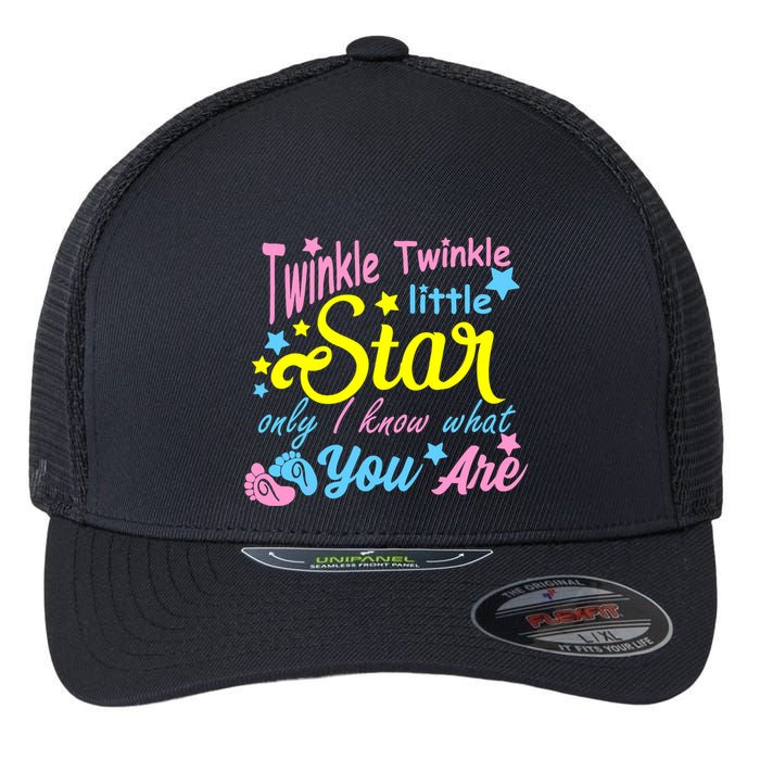 Twinkle Twinkle Little Star Only I Know What You Are Gender Flexfit Unipanel Trucker Cap