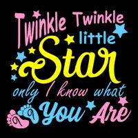 Twinkle Twinkle Little Star Only I Know What You Are Gender Impact Tech Backpack