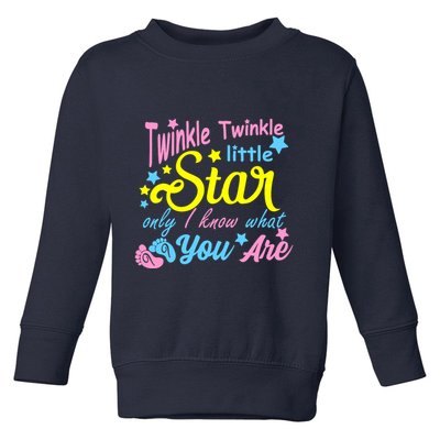 Twinkle Twinkle Little Star Only I Know What You Are Gender Toddler Sweatshirt