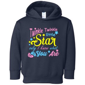 Twinkle Twinkle Little Star Only I Know What You Are Gender Toddler Hoodie