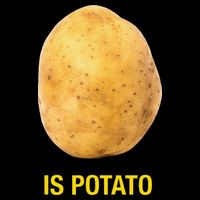Funny Is Potato 16 in Basic Backpack