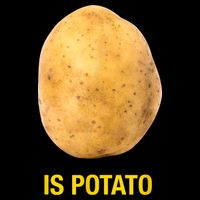 Trendy TV Show Is Potato 16 in Basic Backpack