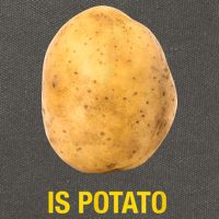 Trendy TV Show Is Potato Cotton Canvas Backpack