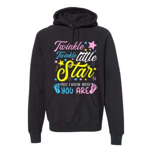 Twinkle Twinkle Little Star Funny Gender Keeper Reveal Party Premium Hoodie