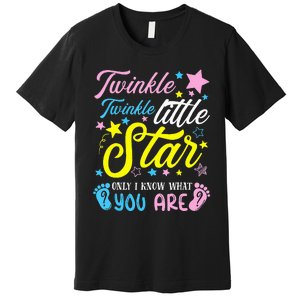 Twinkle Twinkle Little Star Funny Gender Keeper Reveal Party Premium T-Shirt