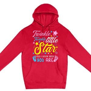 Twinkle Twinkle Little Star Funny Gender Keeper Reveal Party Premium Pullover Hoodie