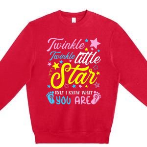 Twinkle Twinkle Little Star Funny Gender Keeper Reveal Party Premium Crewneck Sweatshirt