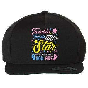 Twinkle Twinkle Little Star Funny Gender Keeper Reveal Party Gift Wool Snapback Cap