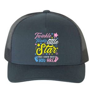 Twinkle Twinkle Little Star Funny Gender Keeper Reveal Party Gift Yupoong Adult 5-Panel Trucker Hat