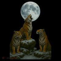 Three Tigers Moon Cooling Performance Long Sleeve Crew