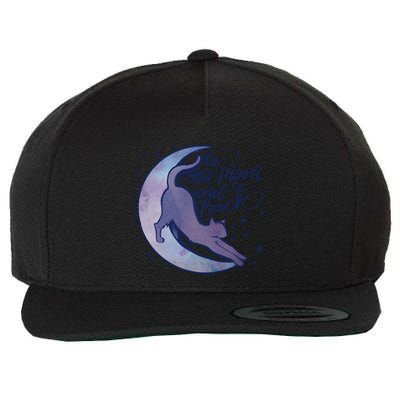 To The Moon And Back Witch Moon Kitten Cats Gift Wool Snapback Cap