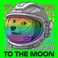 To The Moon Colorful Astronaut DOGE Cryptocurrency T-Shirt