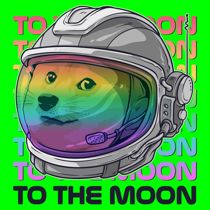 To The Moon Colorful Astronaut DOGE Cryptocurrency T-Shirt