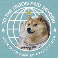 To The Moon And Beyond Doge Coin Crypto Sueded Cloud Jersey T-Shirt