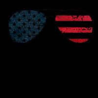 Talk To Me Goose USA Flag Sunglasses Wool Snapback Cap