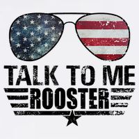 Talk To Me Rooster Sunglasses America Flag V-Neck T-Shirt