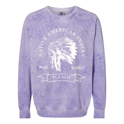 Tulalip Tribe Native American Indian Pride Respect Vintage Gift Colorblast Crewneck Sweatshirt