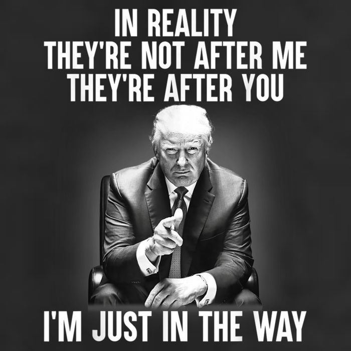 Trump They’re Not After Me They’re After You I’m Just In The Way 7 Panel Mesh Trucker Snapback Hat