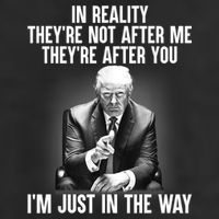 Trump They’re Not After Me They’re After You I’m Just In The Way Adult Drive Performance Visor