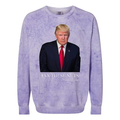 Tax These Nuts Donald Trump Apparel Colorblast Crewneck Sweatshirt