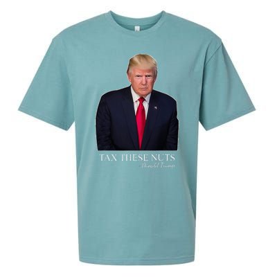 Tax These Nuts Donald Trump Apparel Sueded Cloud Jersey T-Shirt