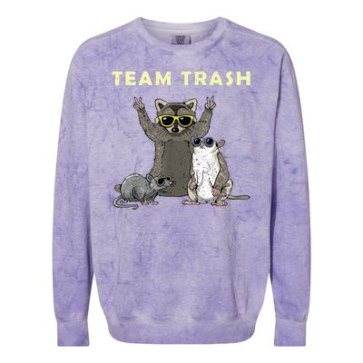 Team Trash Opossum Raccoon Rat Funny Animals Colorblast Crewneck Sweatshirt