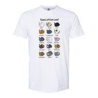 The Types Of Cat Loaf Softstyle CVC T-Shirt