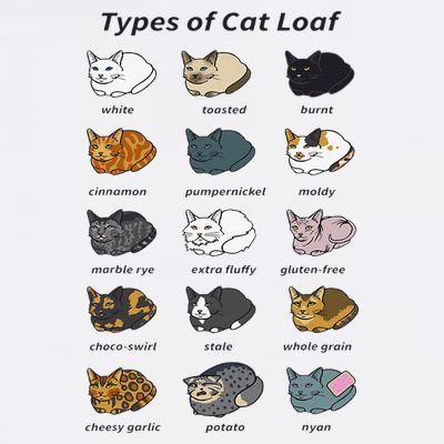 The Types of Cat Loaf Funny Animal Pet Owner T-Shirt