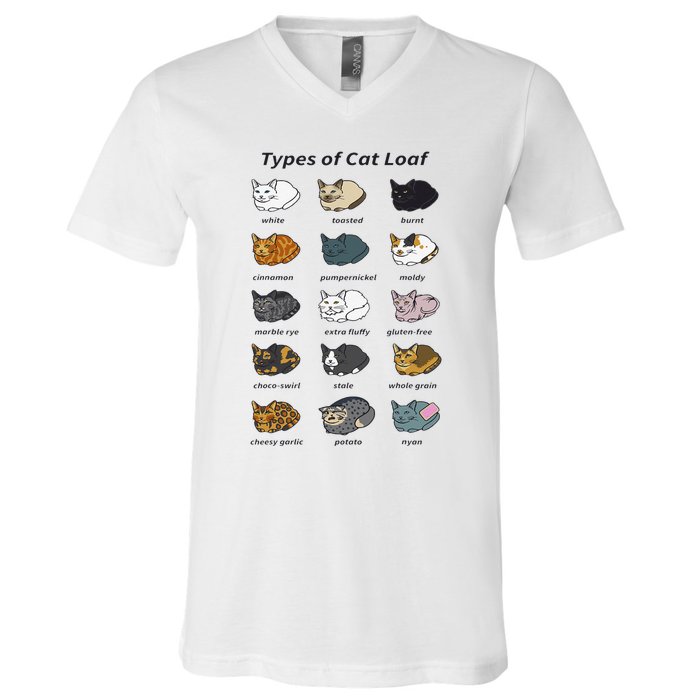 The Types of Cat Loaf Funny Animal Pet Owner V-Neck T-Shirt