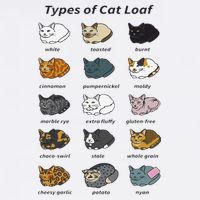 The Types of Cat Loaf Funny Animal Pet Owner Button