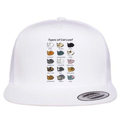 The Types of Cat Loaf Funny Animal Pet Owner Flatbill Hat