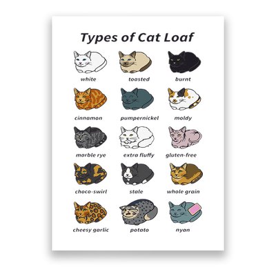 The Types of Cat Loaf Funny Animal Pet Owner Poster