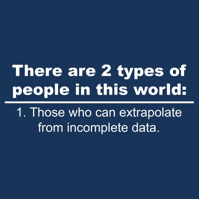 Two Types Of People Extrapolate Incomplete Data Premium T-Shirt