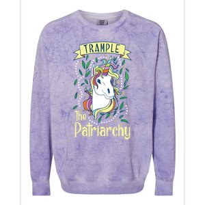 Trample The Patriarchy Unicorn Feminist Equal Rights Gift Meaningful Gift Colorblast Crewneck Sweatshirt