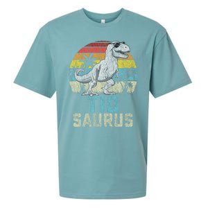 Tiosaurus T Rex Dinosaur Tio Saurus FatherS Family Tiosaurus T Rex Dinos Sueded Cloud Jersey T-Shirt