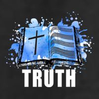 Truth Adult Drive Performance Visor