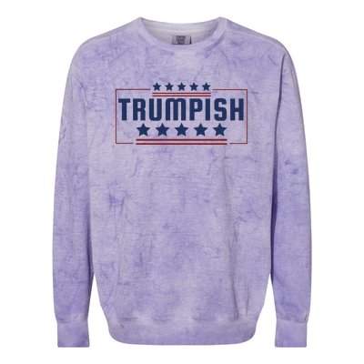 TRUMPISH Colorblast Crewneck Sweatshirt