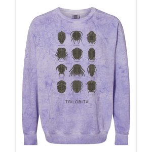 Trilobita Colorblast Crewneck Sweatshirt