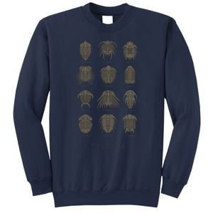 Trilobita Sweatshirt