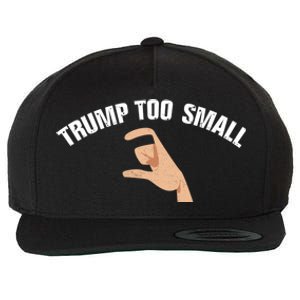 Trump Too Small Funny Elections Voting 4th Of July Trump Cute Gift Wool Snapback Cap